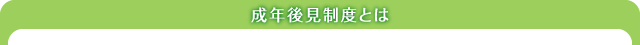 成年後見制度とは