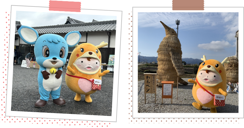 ※加賀ちゃん※ リカちゃん LD-17 原宿のサブカルガール｜ドール｜限定品や新作も